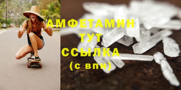 дживик Белокуриха