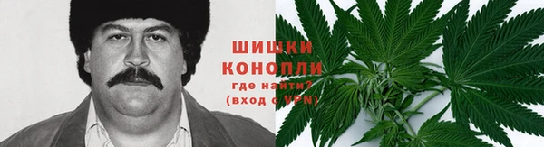 эйфоретик Беломорск