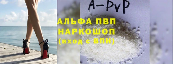 дживик Белокуриха