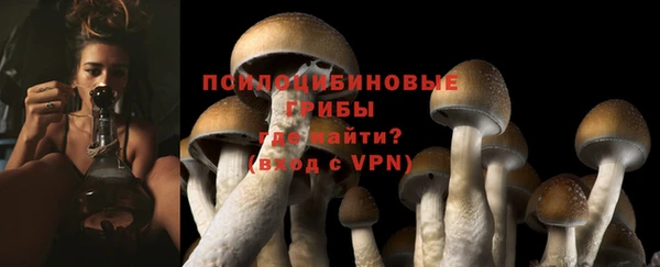 дживик Белокуриха