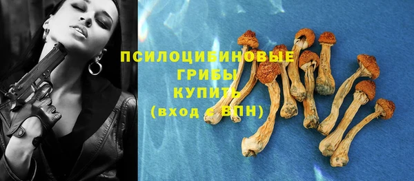 эйфоретик Беломорск